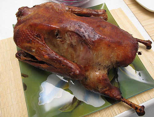 gans_1