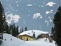 2006_ZellamZiller_15