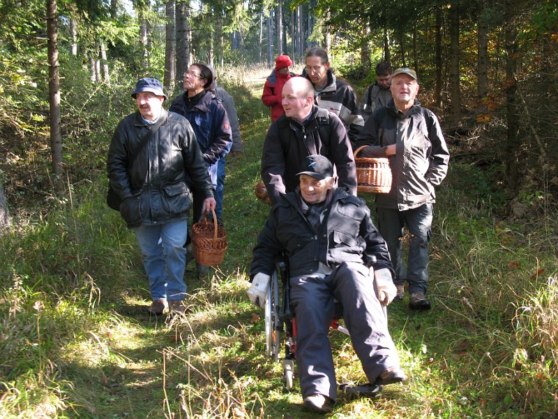 Y-Im_Wald_7982.JPG