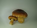 Cortinarius_triumphans_Gelbgestiefelter_Schleimkopf_7934