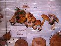 X-Tisch_8042