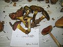 X-Tisch_8061