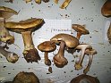 X-Tisch_8062