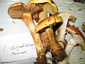 X-Tisch_8068