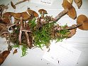 X-Tisch_8069