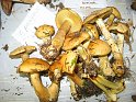 X-Tisch_8140