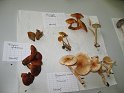 X-Tisch_8146