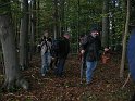 Y-Im_Wald_7901
